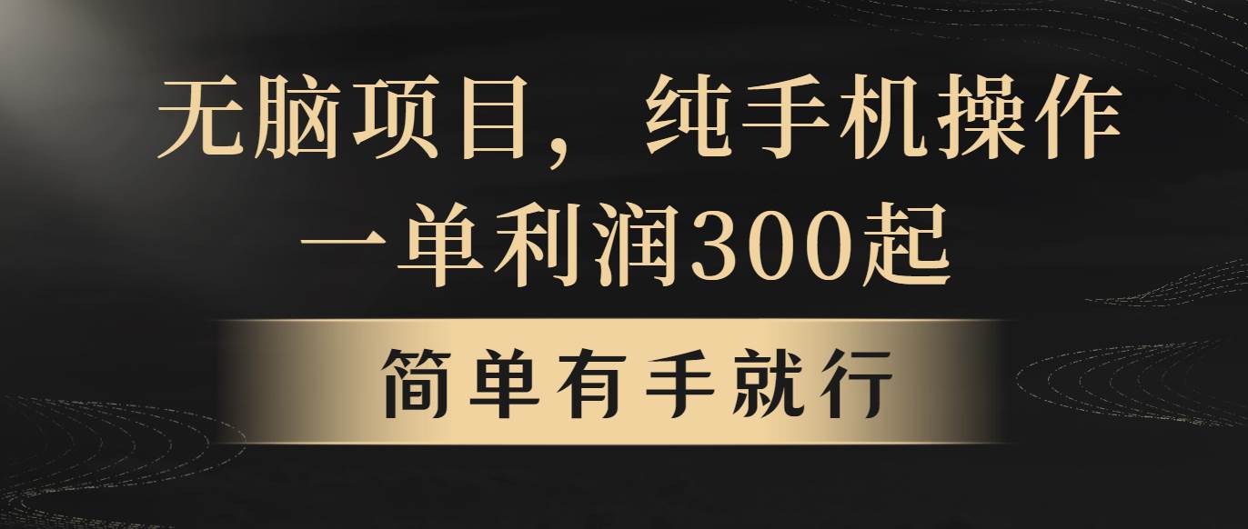 （10699期）无脑项目，一单几百块，轻松月入5w+，看完就能直接操作