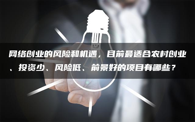 网络创业的风险和机遇，目前最适合农村创业、投资少、风险低、前景好的项目有哪些？